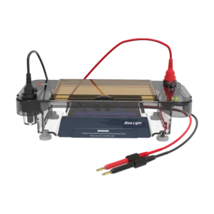 DL-SUB03+ Multi-functional blue light integrated horizontal electrophoresis tank, 18901263