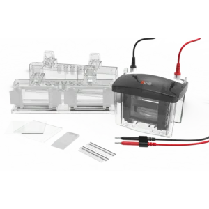 DL-Mini04 Vertical electrophoresis tank, 18901227