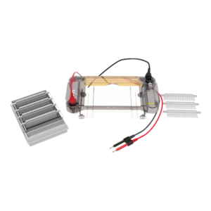 DL-SUB03 Multi-functional horizontal electrophoresis tank, 18901259