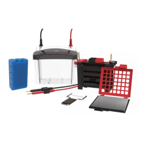 DL-ZY04 Transfer electrophoresis tank, 18901239