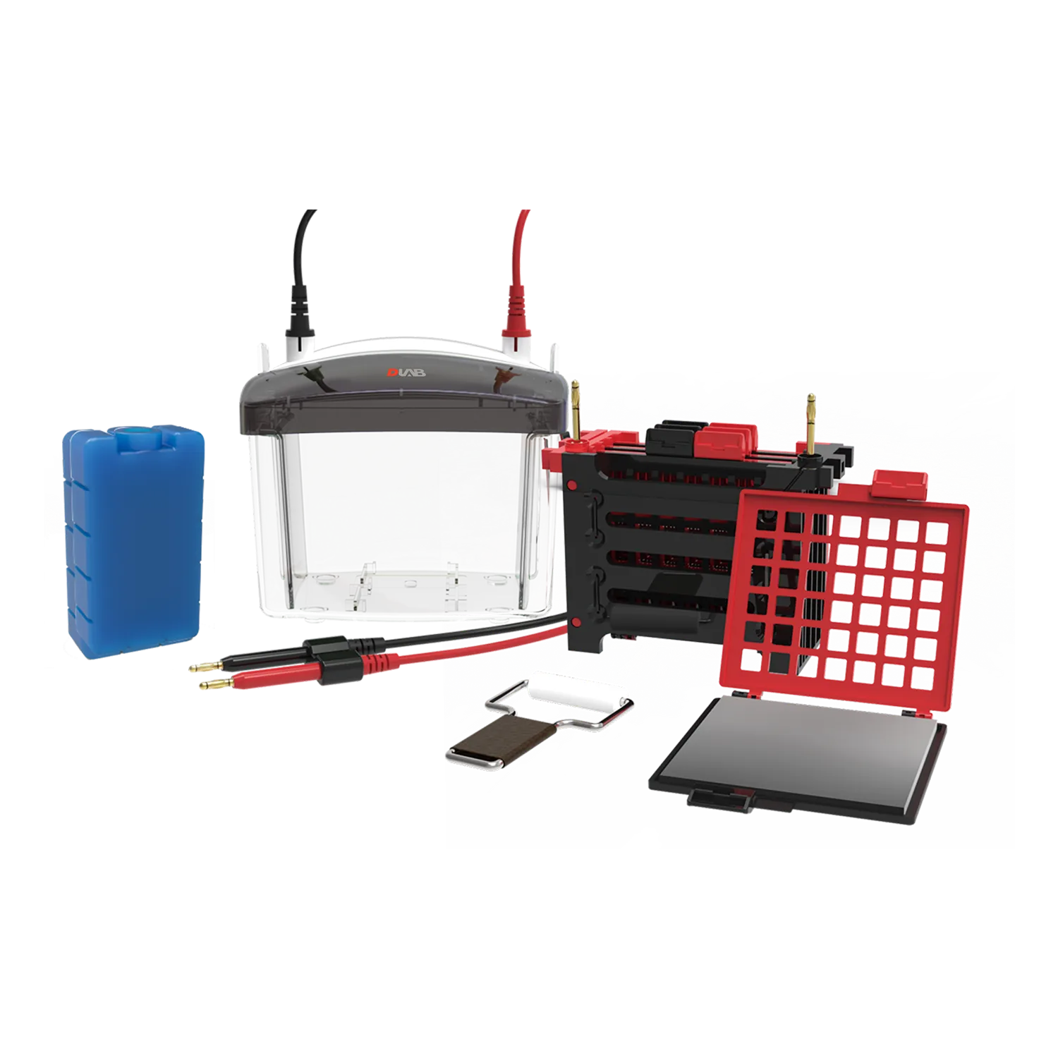 DL-ZY04 Transfer electrophoresis tank, 18901239