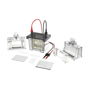 DL-Mini01 Vertical electrophoresis tank (double plate), 18901223