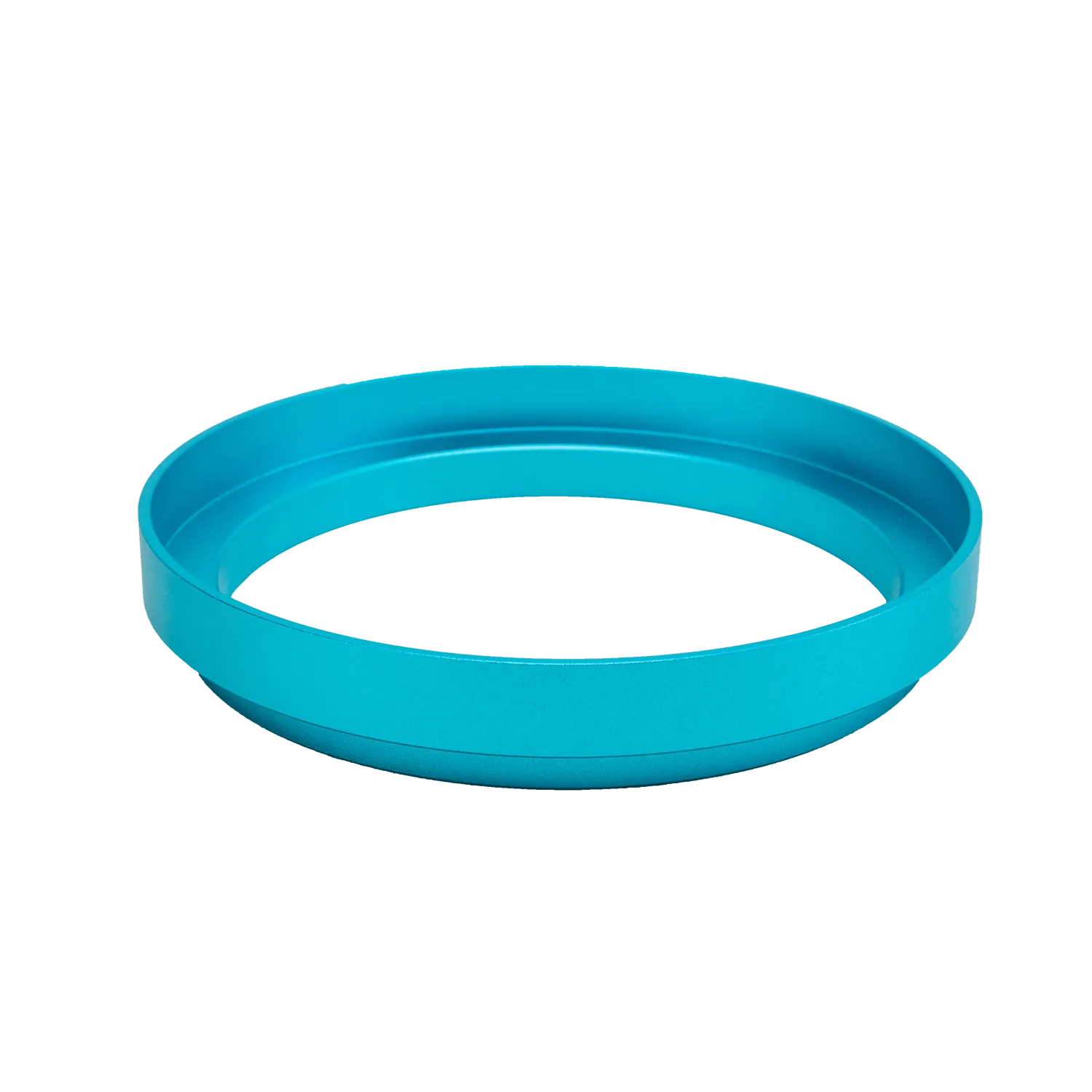 Blue Fixed ring(18900065)