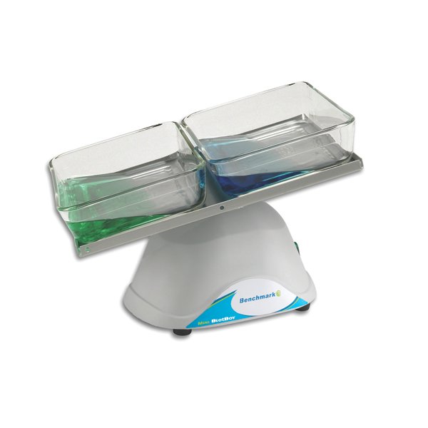 Mini BlotBoy 3D Rocker, fixed speed, small 10"x7.5" platform with flat mat, 115V, B3D1008