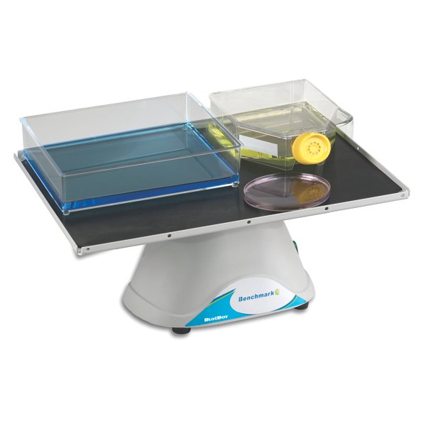 BlotBoy 3D Rocker, fixed speed, 12"x12" platform with flat mat, 115V, B3D1308