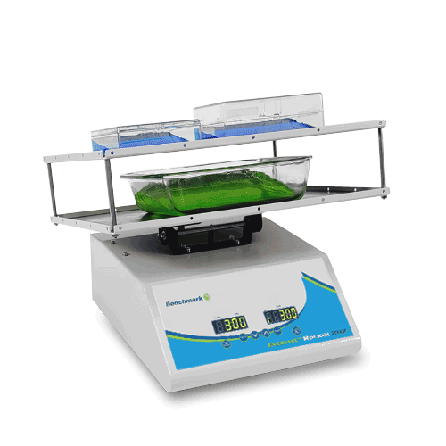 Everlast Rocker with Variable Speed and flat mat, BR5000