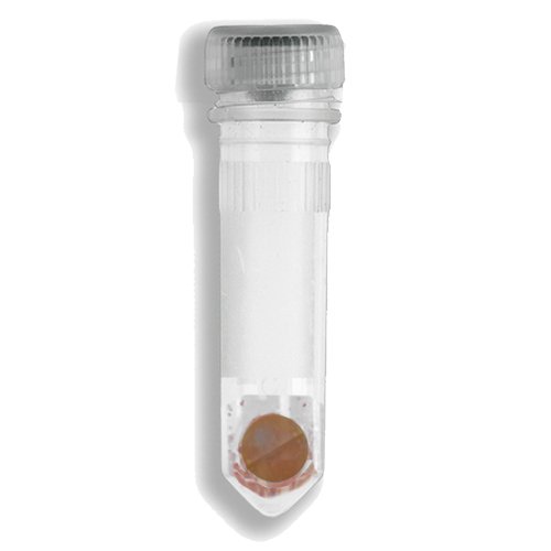 Prefilled 2.0ml tubes, Garnet Shards and one 6 mm Zirconium Bead, 50pk, D1033-30G
