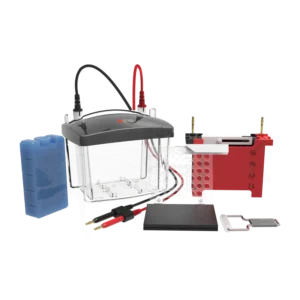 DL-ZY03 Transfer electrophoresis tank, 18901235