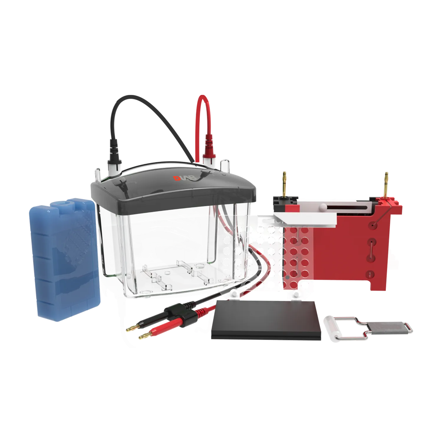DL-ZY03 Transfer electrophoresis tank, 18901235