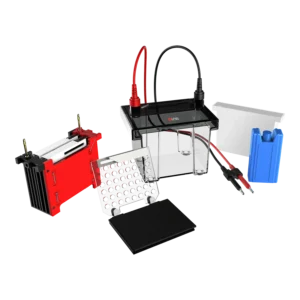 DL-ZY02 Transfer electrophoresis tank, 18901231