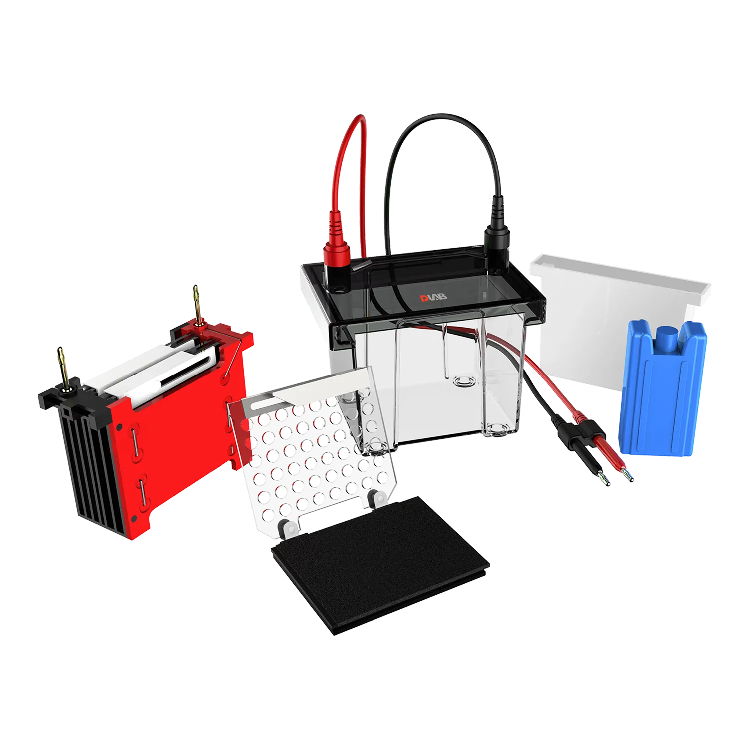 DL-ZY02 Transfer electrophoresis tank, 18901231