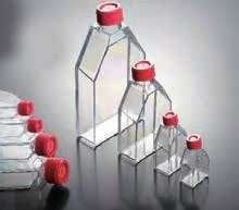 Tissue culture flasks 25, 75 and 175 cm2, sealed or vented cap, sterile